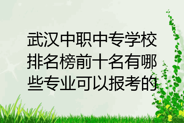 武汉中职中专学校排名榜前十名有哪些专业可以报考的