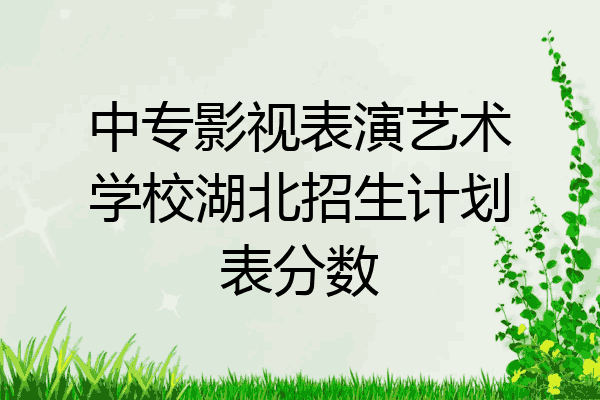 中专影视表演艺术学校湖北招生计划表分数