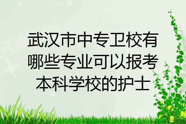 武汉市中专卫校有哪些专业可以报考本科学校的护士