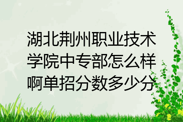湖北荆州职业技术学院中专部怎么样啊单招分数多少分