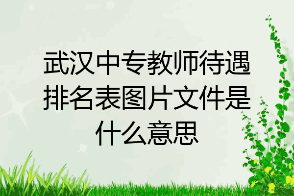 武汉中专教师待遇排名表图片文件是什么意思
