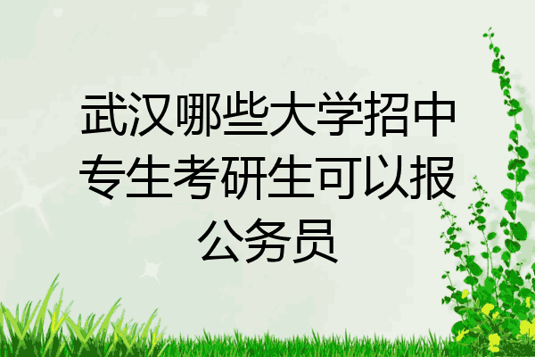 武汉哪些大学招中专生考研生可以报公务员