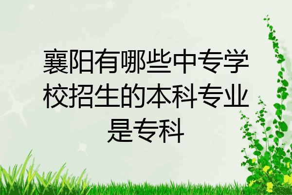 襄阳有哪些中专学校招生的本科专业是专科