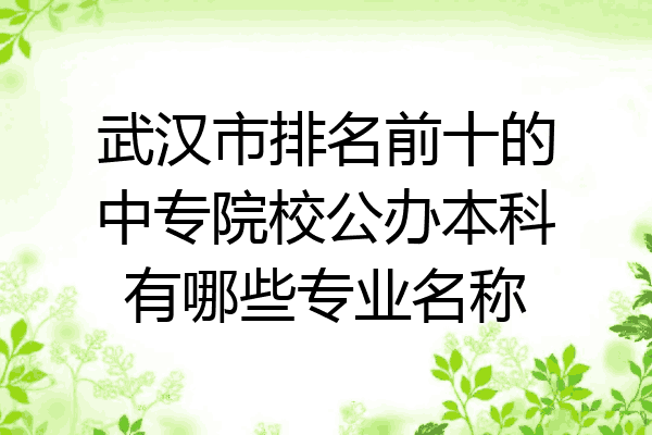 武汉市排名前十的中专院校公办本科有哪些专业名称