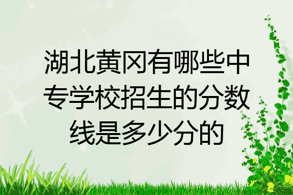 湖北黄冈有哪些中专学校招生的分数线是多少分的