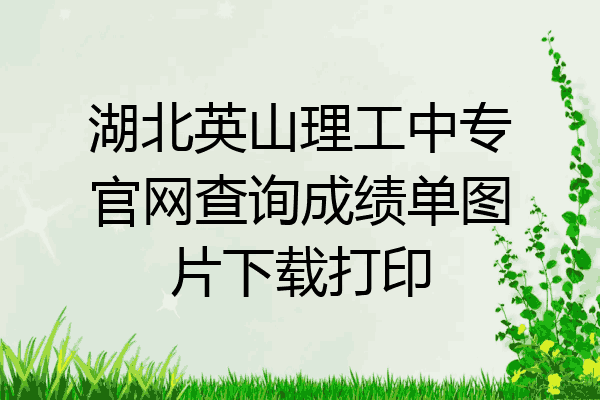 湖北英山理工中专官网查询成绩单图片下载打印
