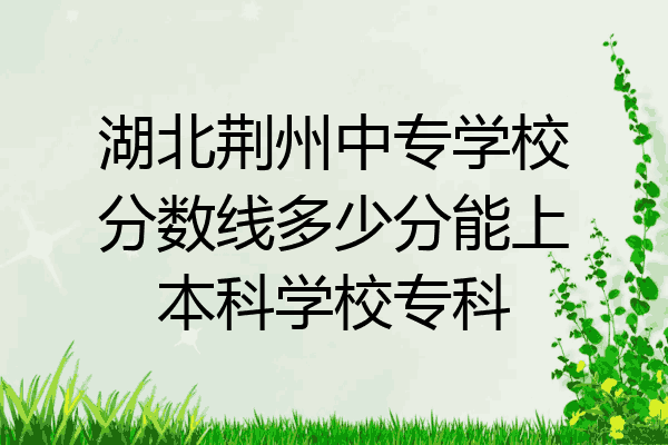 湖北荆州中专学校分数线多少分能上本科学校专科
