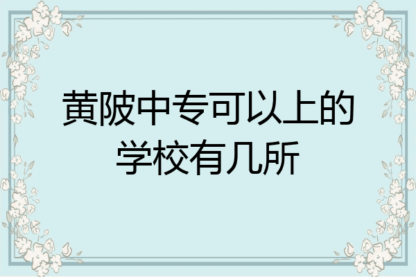 黄陂中专可以上的学校有几所