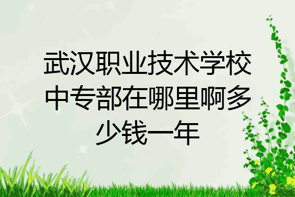 武汉职业技术学校中专部在哪里啊多少钱一年