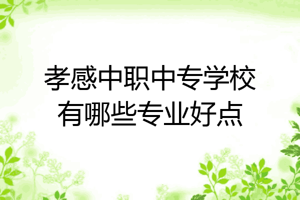 孝感中职中专学校有哪些专业好点
