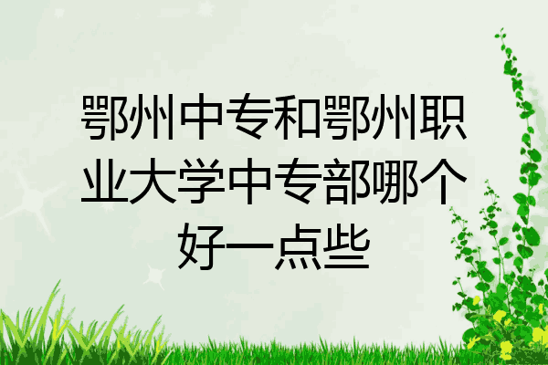 鄂州中专和鄂州职业大学中专部哪个好一点些