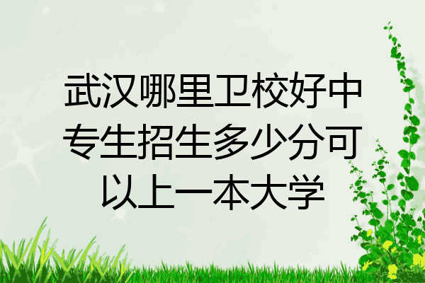 武汉哪里卫校好中专生招生多少分可以上一本大学