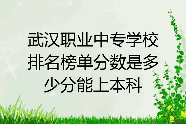 武汉职业中专学校排名榜单分数是多少分能上本科