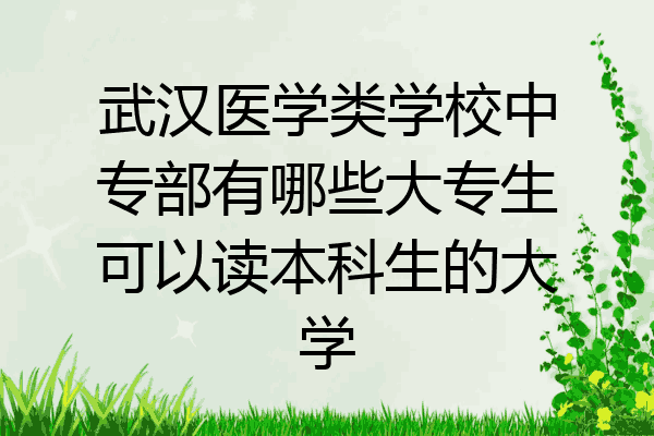 武汉医学类学校中专部有哪些大专生可以读本科生的大学