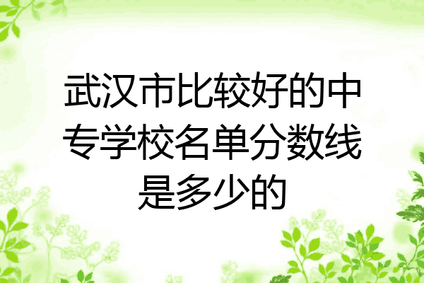武汉市比较好的中专学校名单分数线是多少的