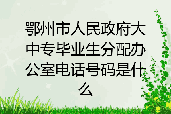 鄂州市人民政府大中专毕业生分配办公室电话号码是什么
