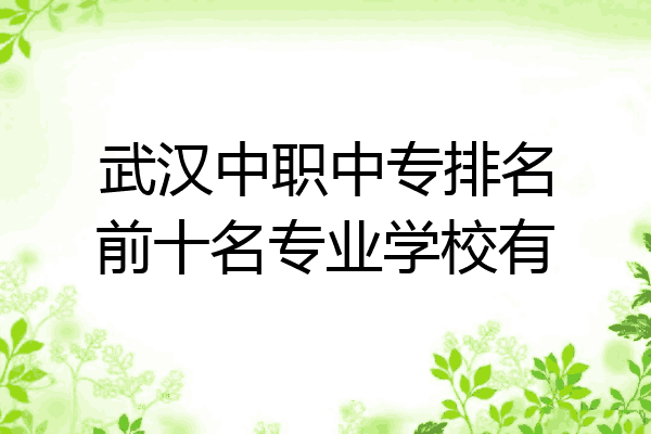 武汉中职中专排名前十名专业学校有