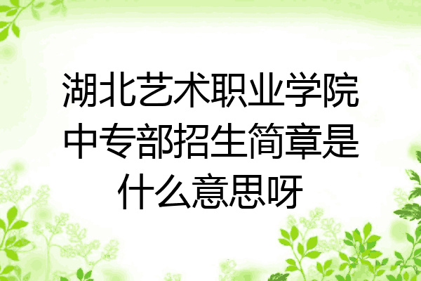 湖北艺术职业学院中专部招生简章是什么意思呀