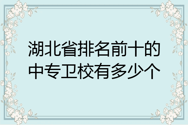 湖北省排名前十的中专卫校有多少个