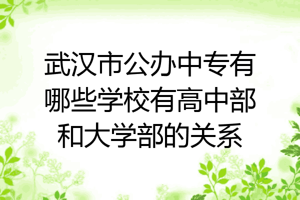 武汉市公办中专有哪些学校有高中部和大学部的关系