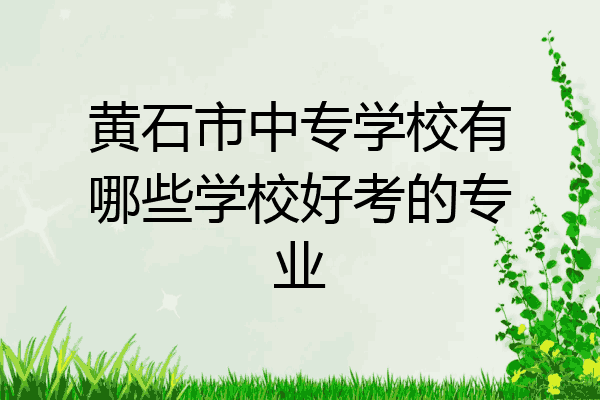 黄石市中专学校有哪些学校好考的专业