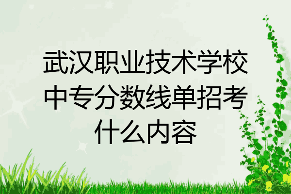 武汉职业技术学校中专分数线单招考什么内容