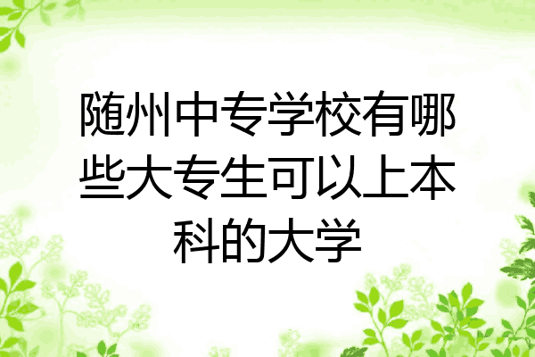 随州中专学校有哪些大专生可以上本科的大学