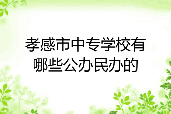 孝感市中专学校有哪些公办民办的