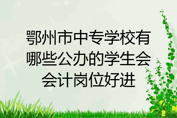鄂州市中专学校有哪些公办的学生会会计岗位好进