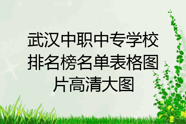 武汉中职中专学校排名榜名单表格图片高清大图