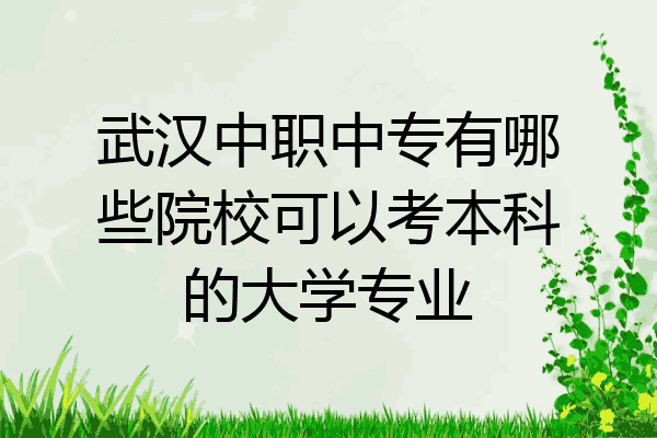 武汉中职中专有哪些院校可以考本科的大学专业