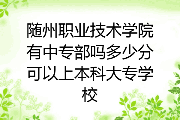 随州职业技术学院有中专部吗多少分可以上本科大专学校