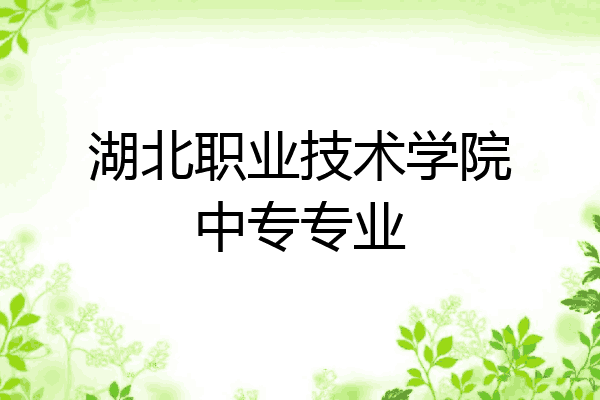 湖北职业技术学院中专专业