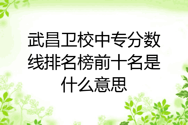 武昌卫校中专分数线排名榜前十名是什么意思
