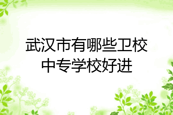 武汉市有哪些卫校中专学校好进