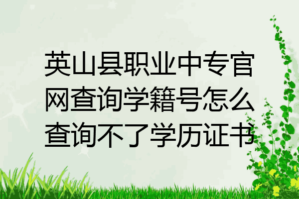 英山县职业中专官网查询学籍号怎么查询不了学历证书