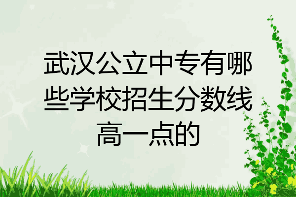 武汉公立中专有哪些学校招生分数线高一点的