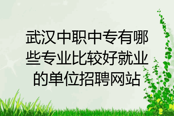 武汉中职中专有哪些专业比较好就业的单位招聘网站
