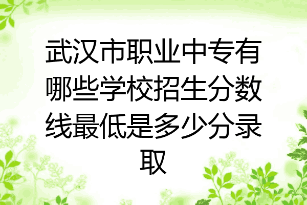 武汉市职业中专有哪些学校招生分数线最低是多少分录取