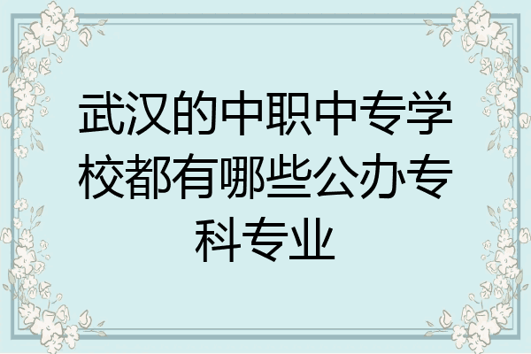 武汉的中职中专学校都有哪些公办专科专业