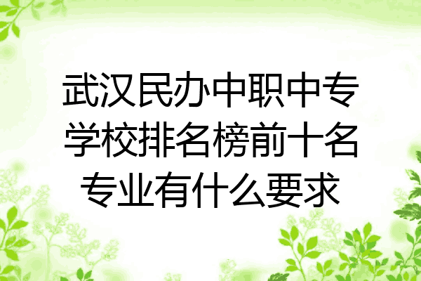 武汉民办中职中专学校排名榜前十名专业有什么要求