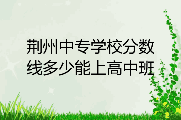 荆州中专学校分数线多少能上高中班