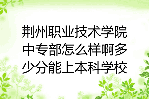 荆州职业技术学院中专部怎么样啊多少分能上本科学校