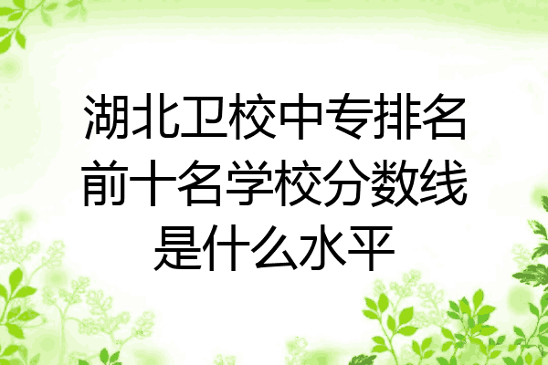 湖北卫校中专排名前十名学校分数线是什么水平