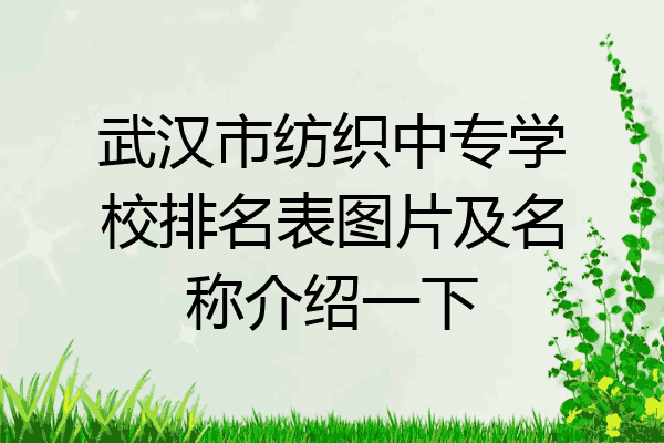 武汉市纺织中专学校排名表图片及名称介绍一下