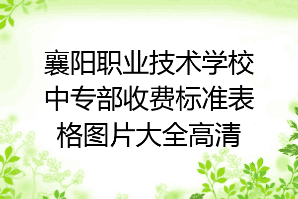 襄阳职业技术学校中专部收费标准表格图片大全高清