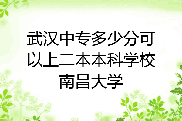 武汉中专多少分可以上二本本科学校南昌大学