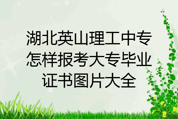 湖北英山理工中专怎样报考大专毕业证书图片大全