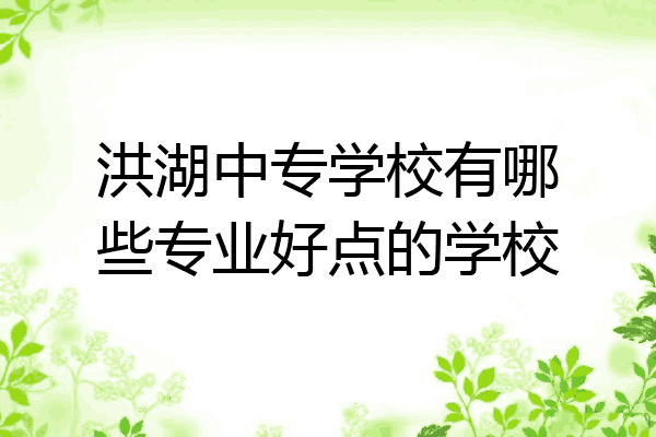 洪湖中专学校有哪些专业好点的学校