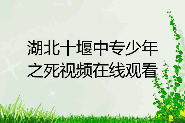 湖北十堰中专少年之死视频在线观看